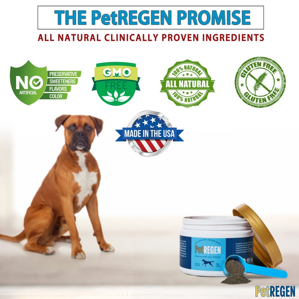 PetREGEN has no artificial colours, flavours preservatives, sweeteners, is GMO free, All natural, and gluten free. 